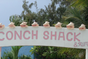 Da Conch Shack