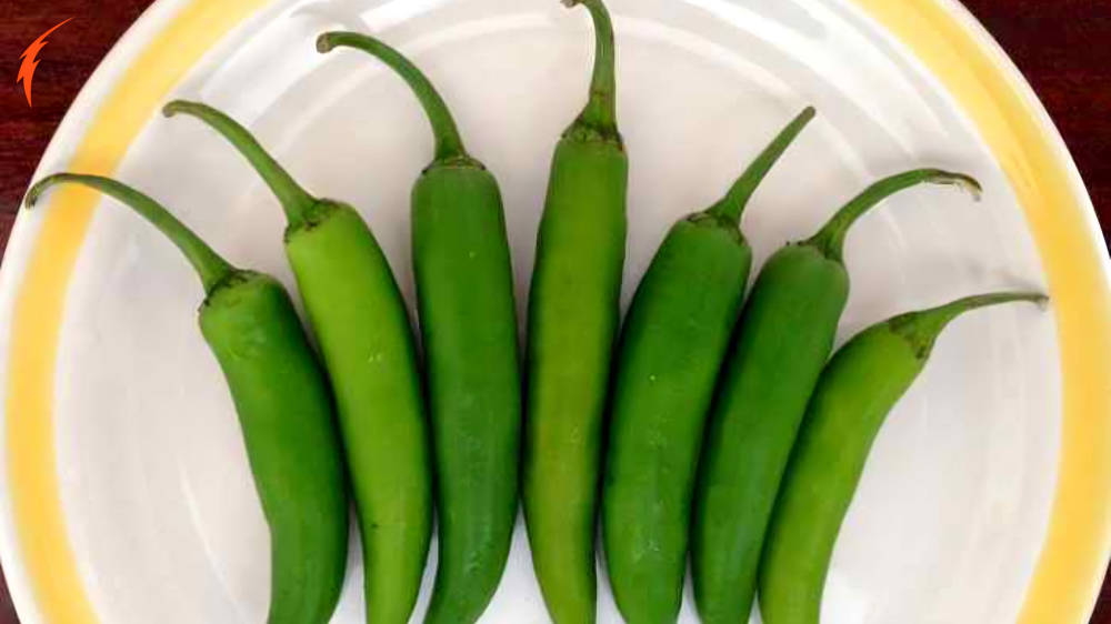 Serrano Pepper