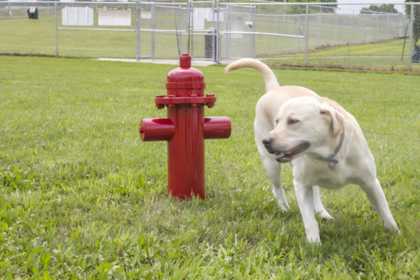 Dogo-7260 Fire Hydrant