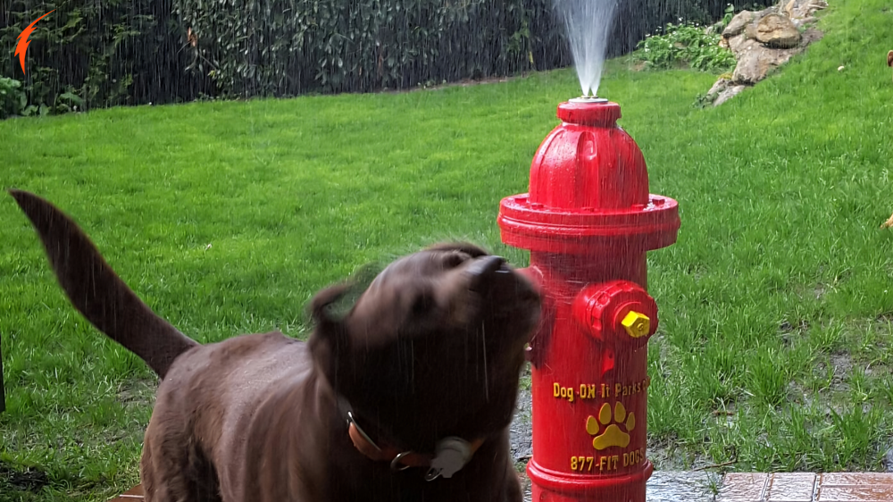 Dogo-7260 Fire Hydrant