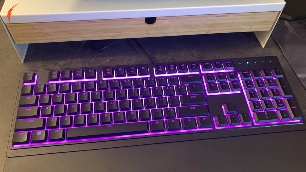 LexonElec Keyboard All Lights Flashing