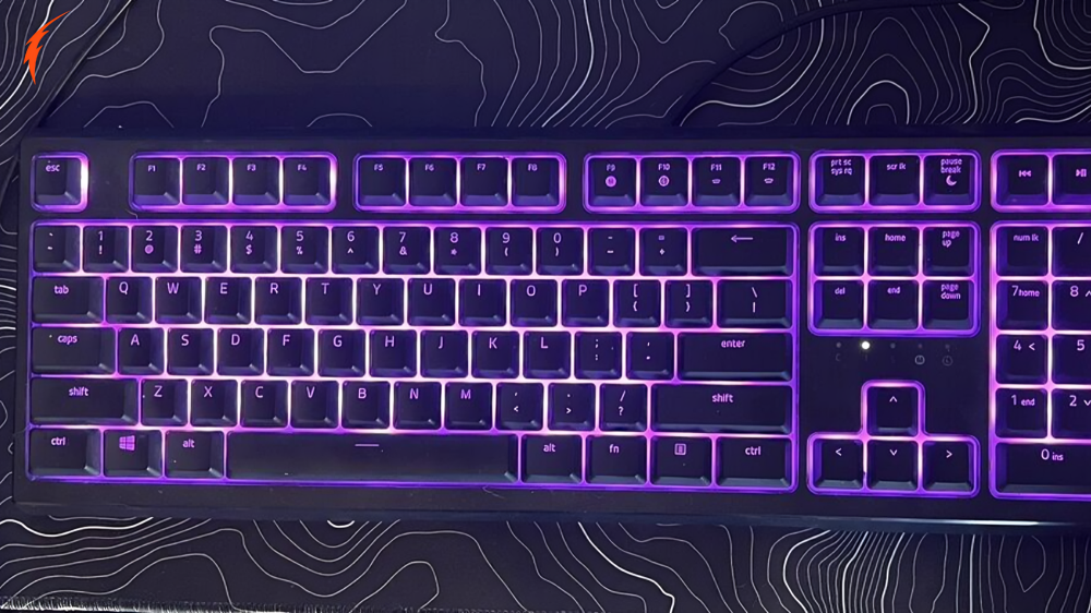 LexonElec Keyboard All Lights Flashing